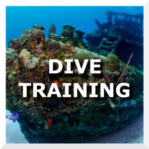 DiveTrainingSquare