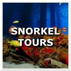 SnorkelToursSquare